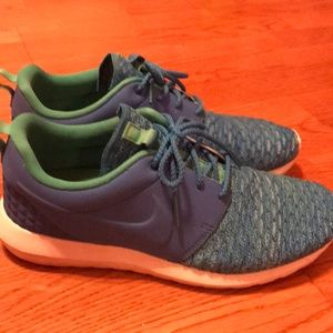 Women’s blue and green Nike Shoes
